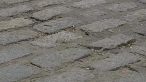 Pan across a red brick road Stock Footage 241498081