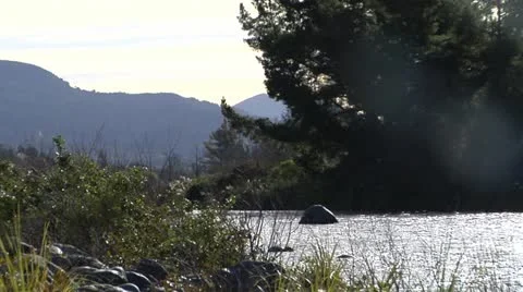 Pan across river Stock Footage 11410792