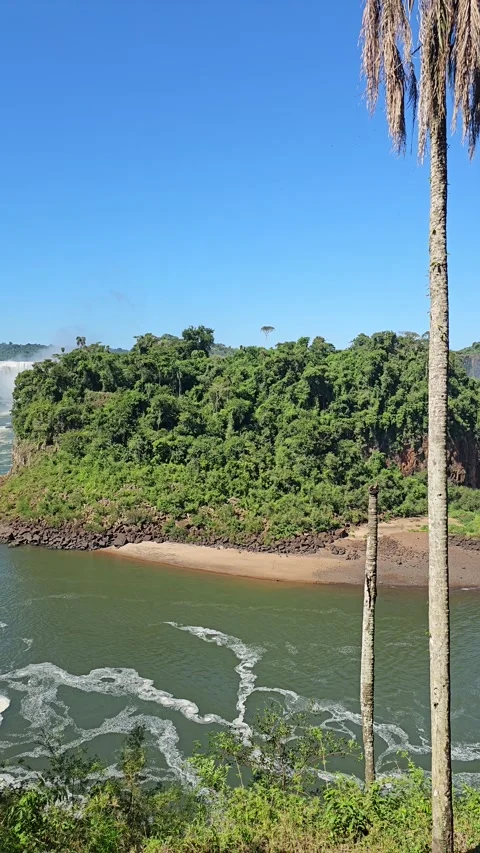 Pan Across River Rapids And Tall Palm, Iguazu, Argentina – Vertical 8K Stock Footage 306473773