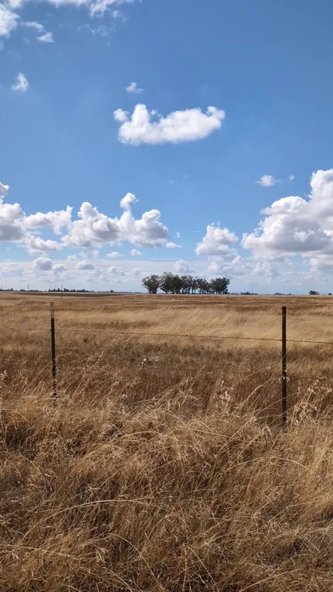Pan across a rural landscape featuring a weathered wire fence, dry autumn grass Видео 333347302