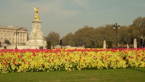 Pan across spring flowers in front fo Buckingham Palace Stock Footage 109478407