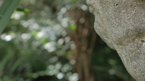 Pan Across Statue Head Vidéo 67431872