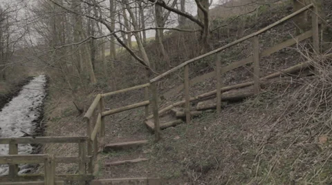 Pan Across Stream 動画素材 51346084