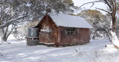 Pan Across Sun Shining Through Snowgums Next to High Country Wooden Hut Stock Footage 136716008