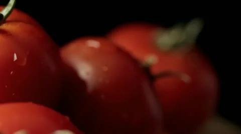 Pan across tomatoes 스톡 동영상 11941875