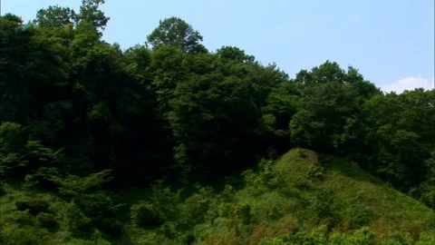 Pan across tree covered hills Stock Footage 86903401