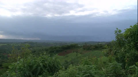 PAN Agricultural landscape, planted fields at sunset Africa Vídeo Stock 40276106
