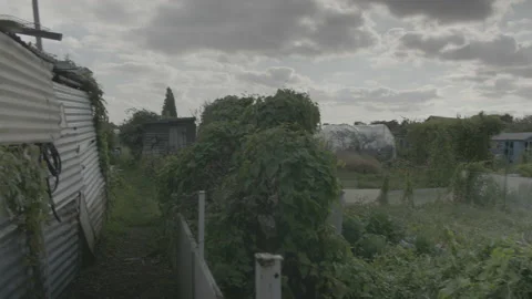 PAN OF ALLOWMENT Video stock 229664227