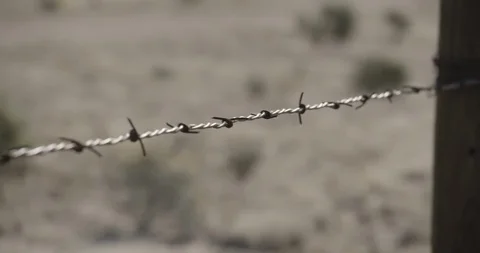 Pan Along Close Up Barbed Wire with Rack Focus Stock Footage 89942668