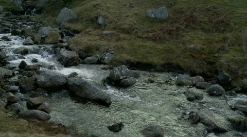 Pan along a pretty mountain stream in a valley Video stock 507785