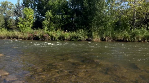 Pan along the River shoreline Vidéo 42019752