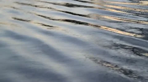 Pan along waters surface Stock Footage 10591928