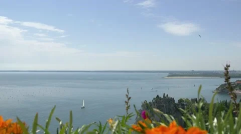 Pan and focus change from Duino castle ruins and sea to orange flowers Stock-Footage 68346878