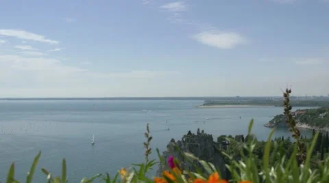 Pan and focus change from Duino castle ruins and sea to orange flowers Stock Footage 68346943