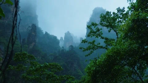 Pan and rack focus from hanging vine to moody, misty sandstone peaks during 動画素材 343414668