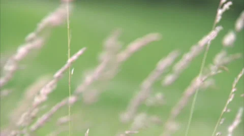 Pan and rack focus of small barn Stock Footage 34862279