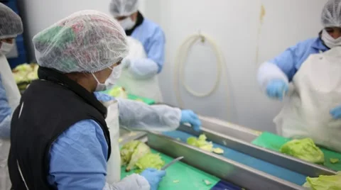 Pan and tilt shot from sorting process Stock Footage 60765591