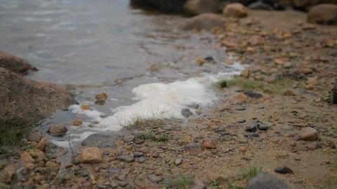 Pan and zoom out from lapping waters on beach of highland loch Stock Footage 104119548