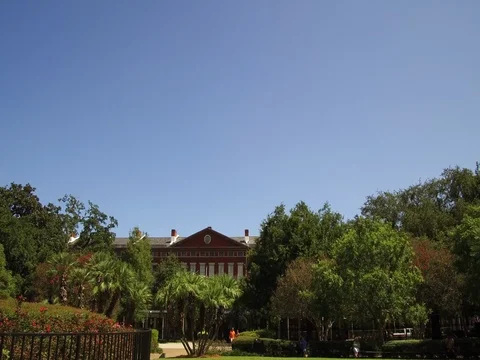 Pan to the Andrew Jackson statue and St. Louis Cathedral in New Orleans Stock Footage 81157516