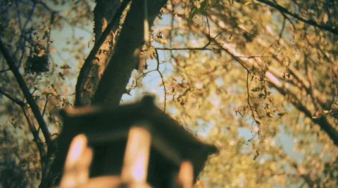 Pan around the birdhouse Stock Footage 549913