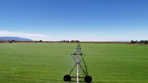 Pan around Center Pivot Irrigation System Stock Footage 312628436