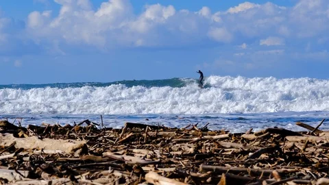 Pan of average surfer gliding along wave-pretty winter scene with driftwood i Vídeos de archivo 108608245