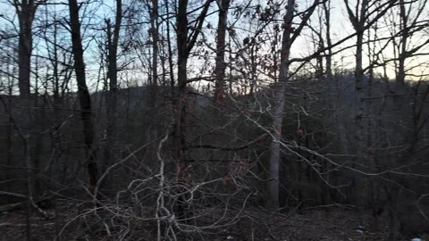 Pan of Bare Forest and Mountains in Appalachian Foothills Stock Footage 332132531