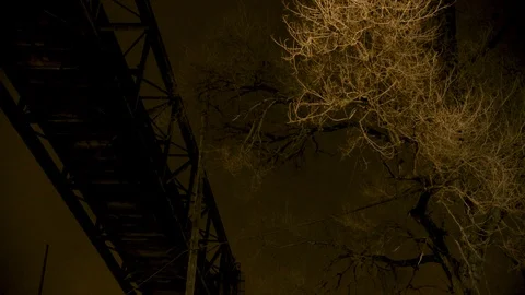 Pan from barren tree to bridge in silhouette against night sky Stock Footage 89945469