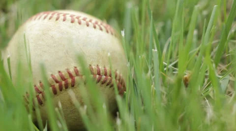 Pan of baseball in grass 스톡 동영상 38487652