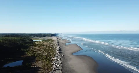 Pan from beach to forest Stock Footage 94579900