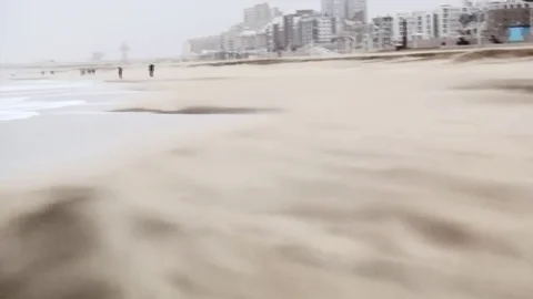 Pan from beach to the sea in strong wind Video stock 84327517