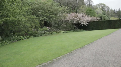 Pan of beautiful garden Stock Footage 38871687