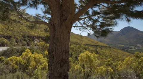 Pan of beautiful mountain landscape Stock Footage 32137536