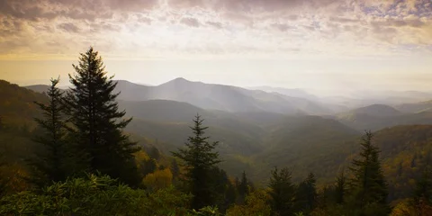 Pan of beautiful mountains and pine trees at sunrise Stock Footage 103400517