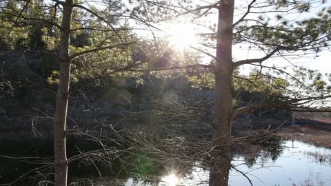 Pan to Beaver Lodge on Shore Stock Footage 79590003