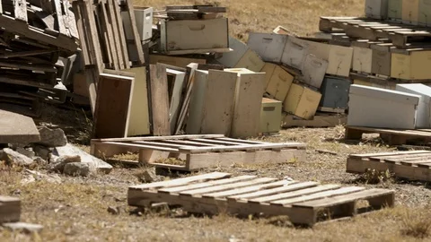 Pan of Bee Yard Stock Footage 91045442