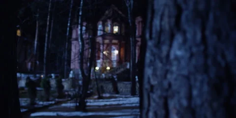 Pan From Behind Tree to Beautiful House at Night Vidéo 57248330