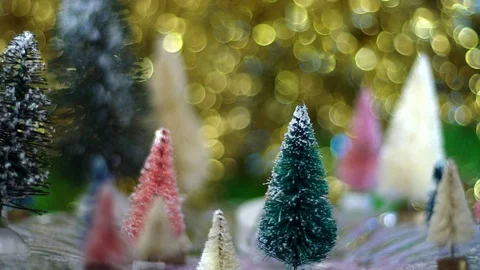 Pan of bottle brush tree forest with gold bokeh background, great holiday 스톡 동영상 97772905