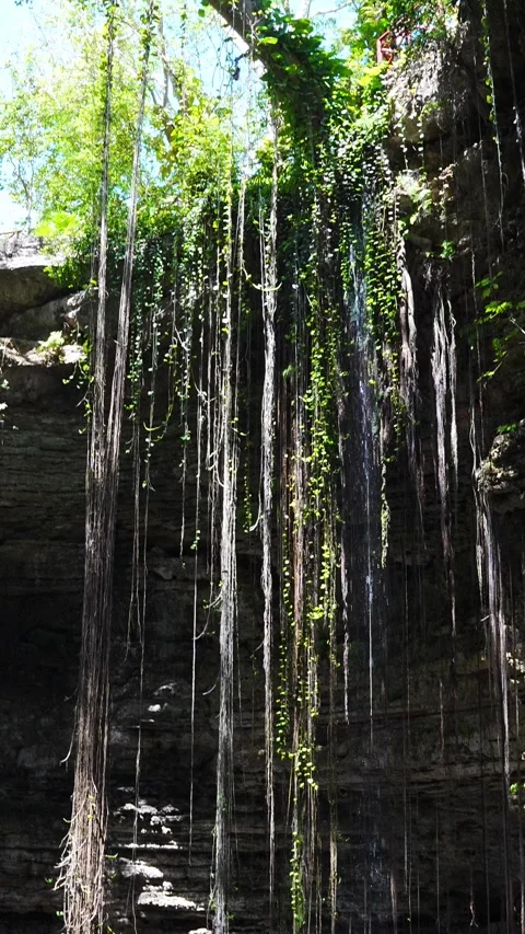 Pan up from the bottom of a Mexican cenote in Chichen Itza Stock Footage 345175346
