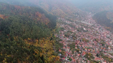 Pan up of Brasov and Forest Stock Footage 290444547