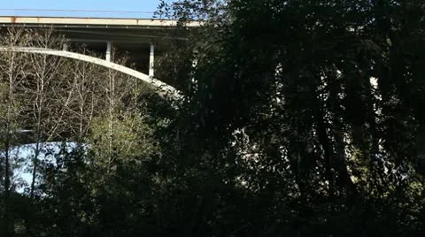 PAN OF BRIDGE THRU TREES Stock Footage 9116950