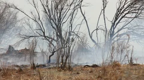 PAN BRUSH FIRE Stock Footage 10795246