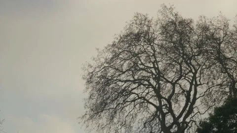 Pan to bt tower Stock Footage 145564653