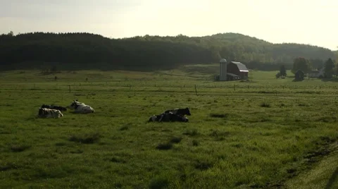 Pan on bucolic farm scene Stock Footage 7745970