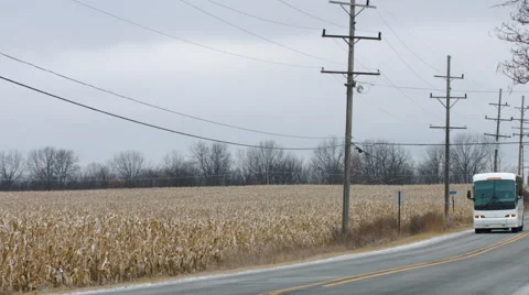 Pan with bus passing cornfield in Winter 4K Stock Footage 45362976