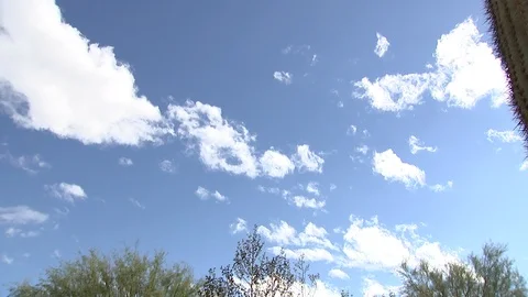 Pan to cactus in the Arizona desert Stock Footage 99998022