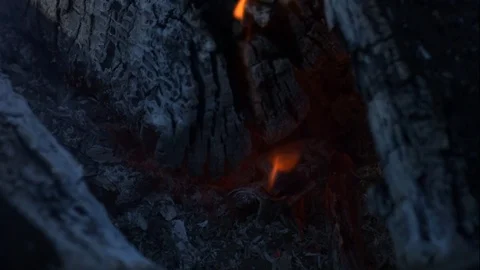 Pan Up of Campfire in Slow Motion Video stock 76135784