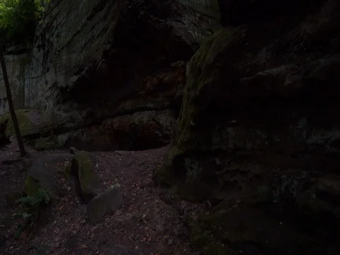 Pan up at Canopy and large rock formation at Ledges in Cuyahoga Valley Stock Footage 82683698