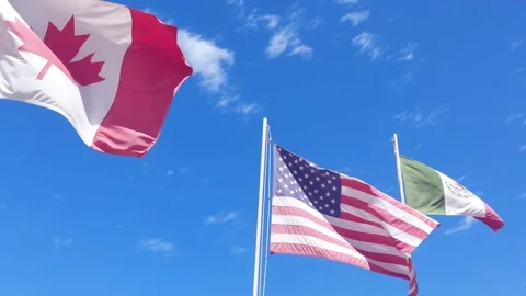 Pan to Can,usa,mex flags Stock Footage 173582751