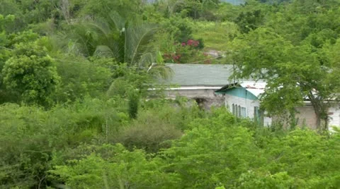 Pan of the Caribbean Countryside Stock Footage 22157983